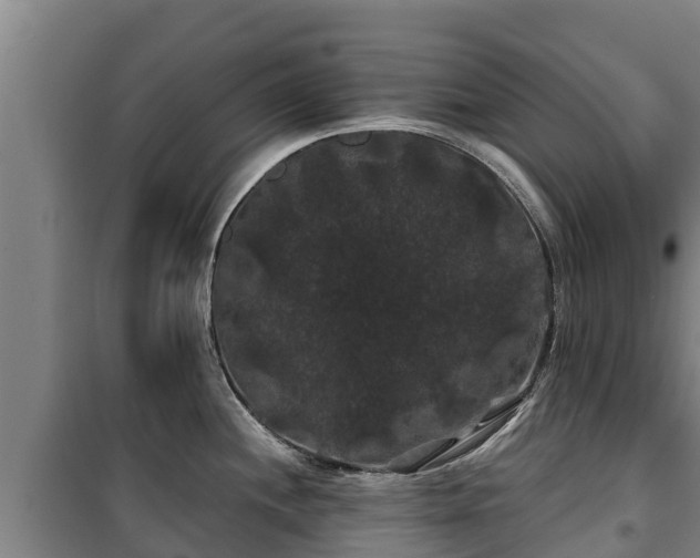 X0000100201244200806061315