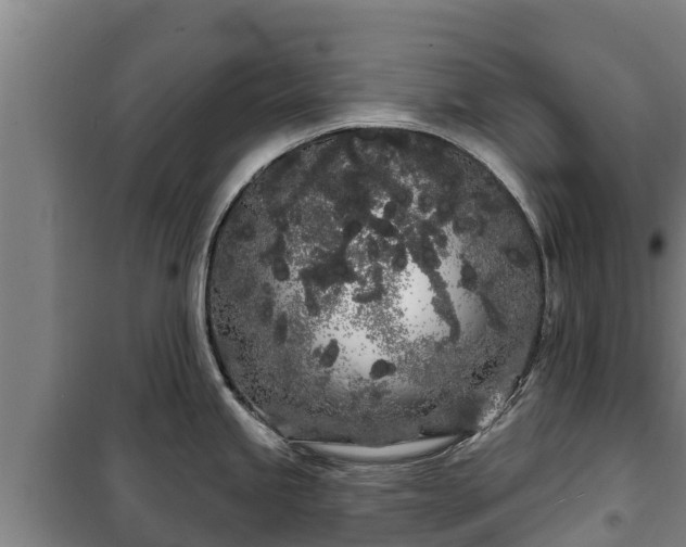 X0000100201245200806061315