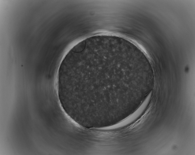 X0000100201247200806061315