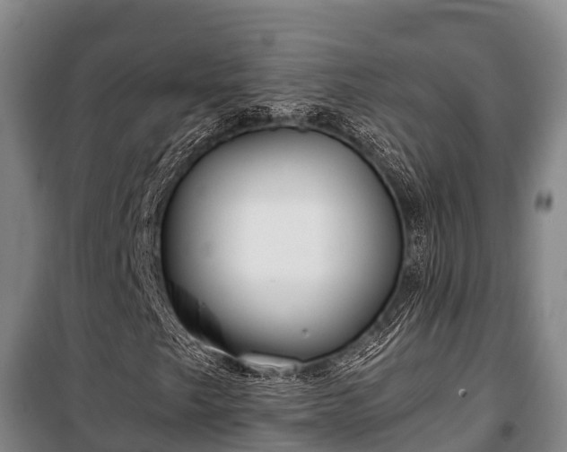 X0000100201249200806061314