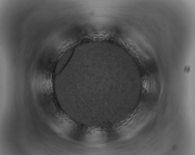 X0000100201252200806061314