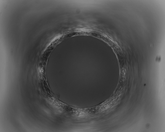 X0000100201254200806061314