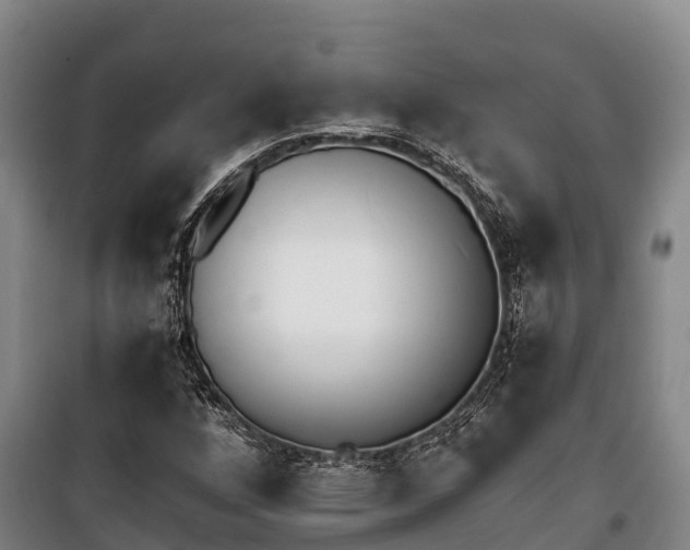 X0000100201256200806061314