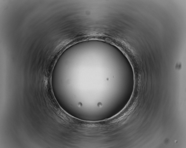 X0000100201257200806061314