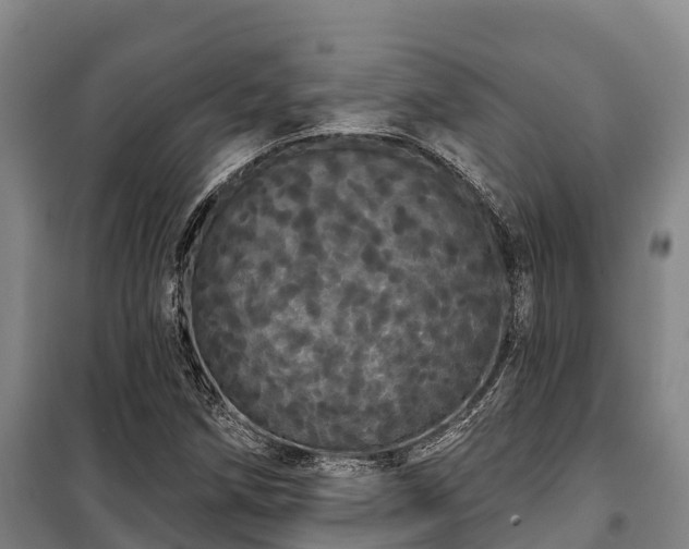 X0000100201258200806061314