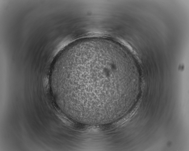 X0000100201259200806061314