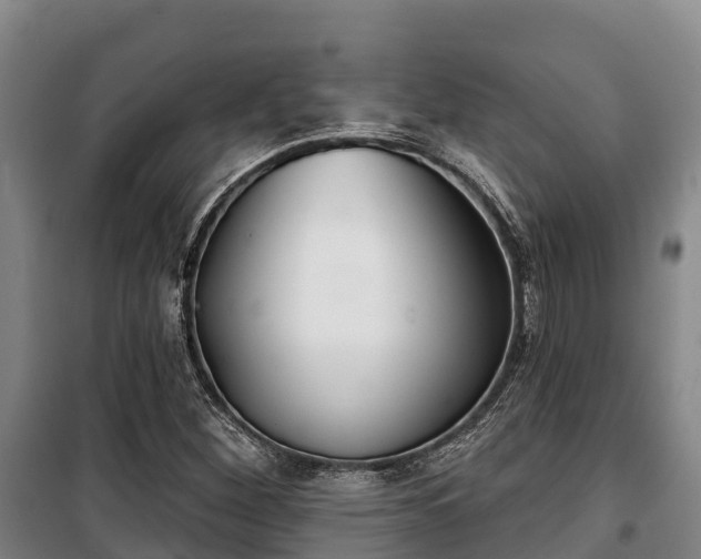 X0000100201260200806061314