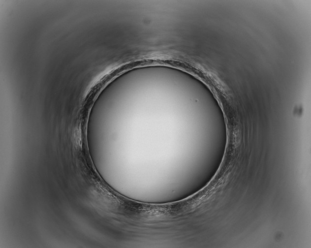 X0000100201262200806061314