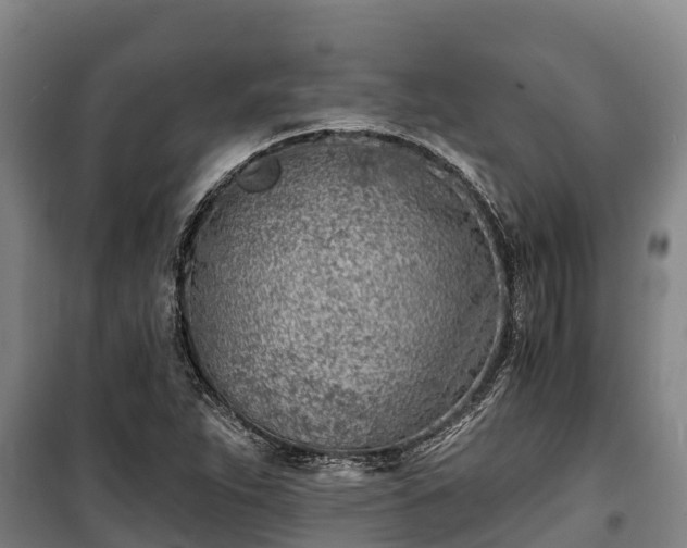 X0000100201263200806061314