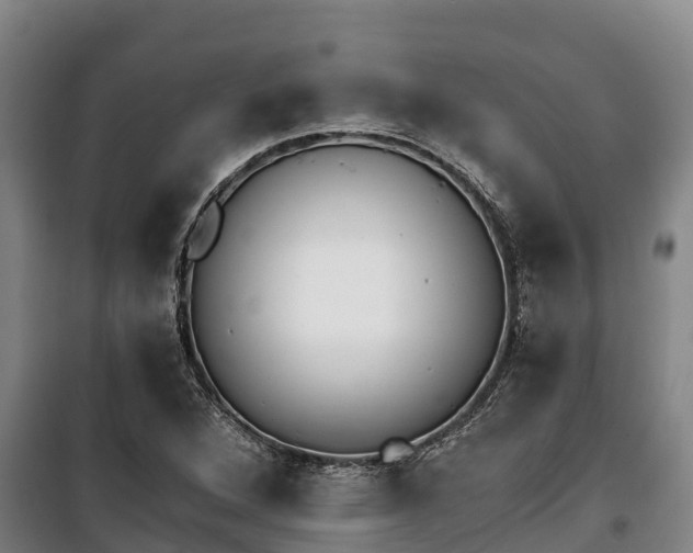 X0000100201264200806061314