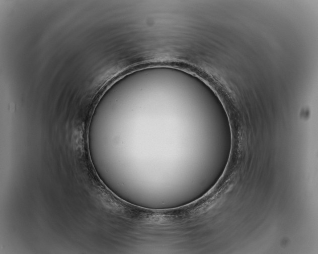 X0000100201265200806061314