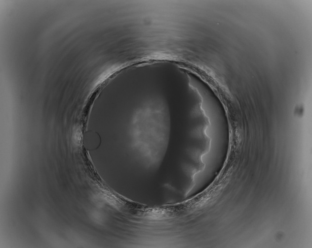 X0000100201266200806061314