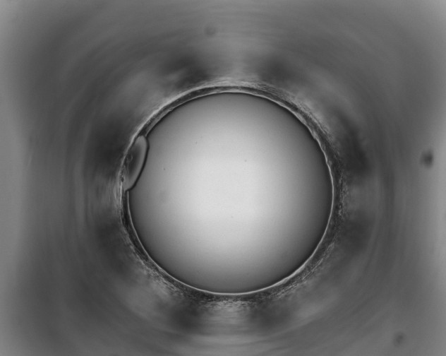 X0000100201268200806061314