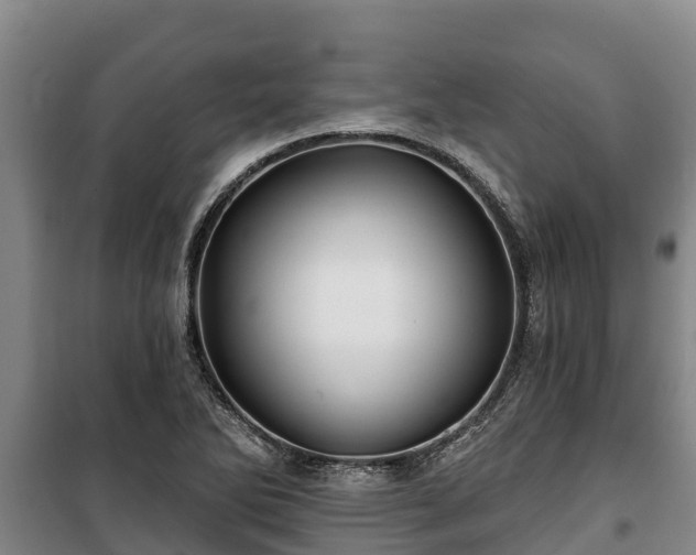 X0000100201270200806061314