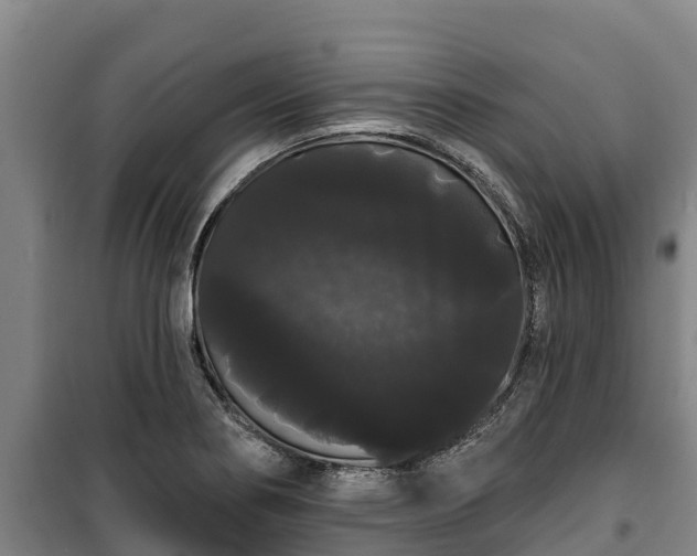 X0000100201274200806061314