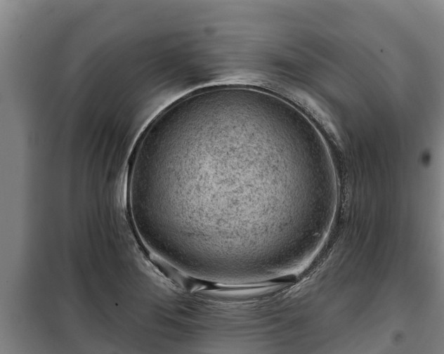 X0000100201276200806061313