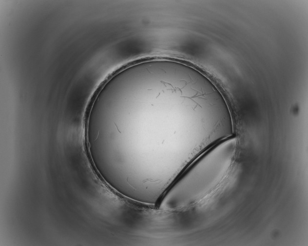 X0000100201280200806061313