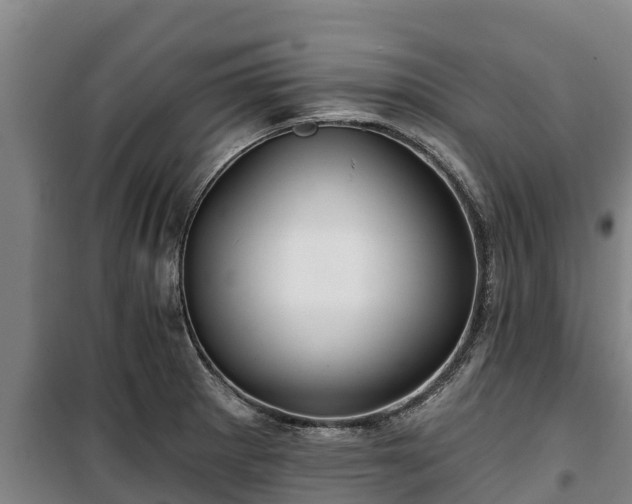 X0000100201281200806061313