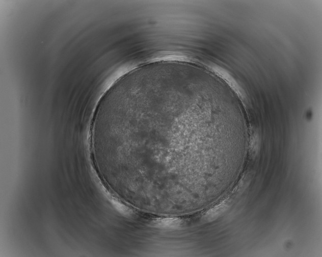 X0000100201282200806061313