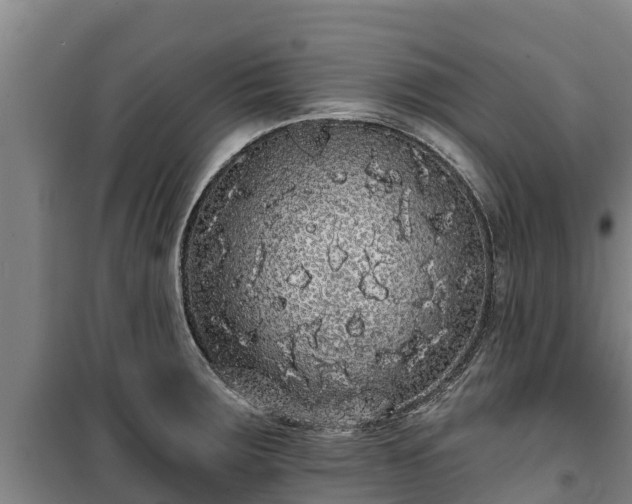 X0000100201283200806061313