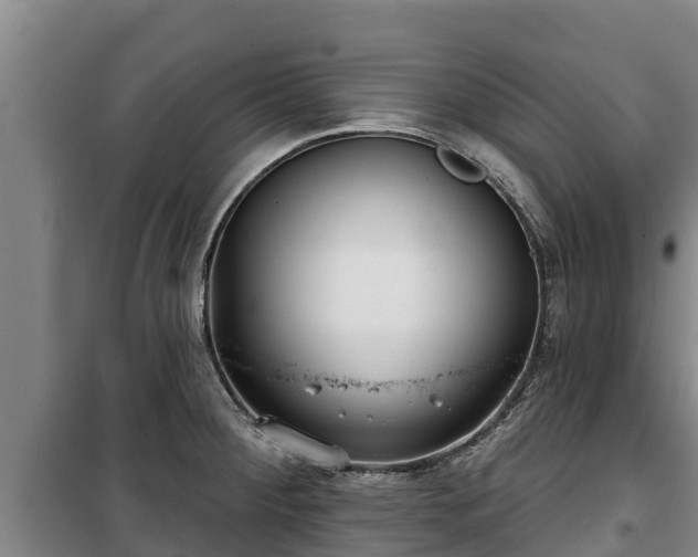 X0000100201284200806061313