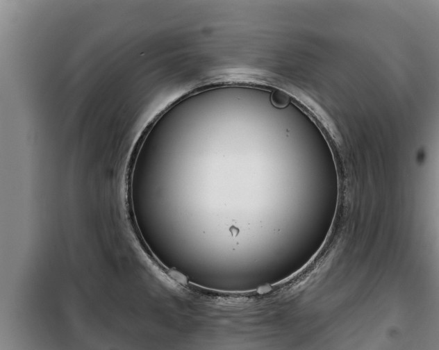 X0000100201285200806061313