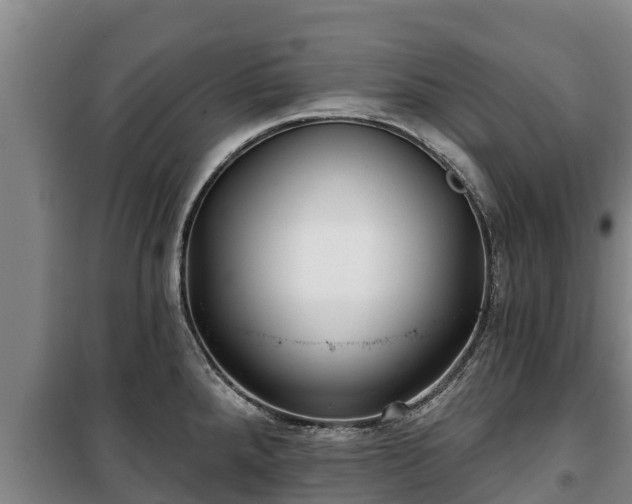 X0000100201288200806061313