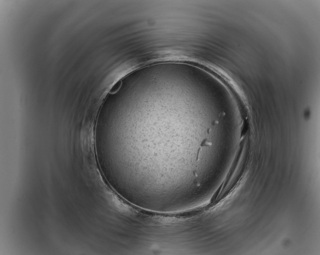 X0000100201289200806061313