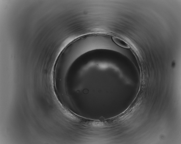 X0000100201291200806061313