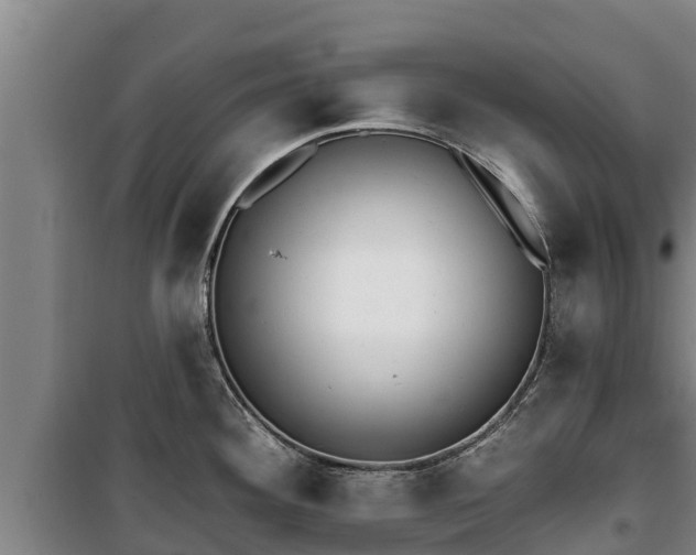 X0000100201292200806061313