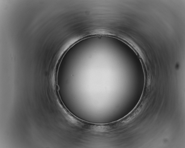 X0000100201293200806061313