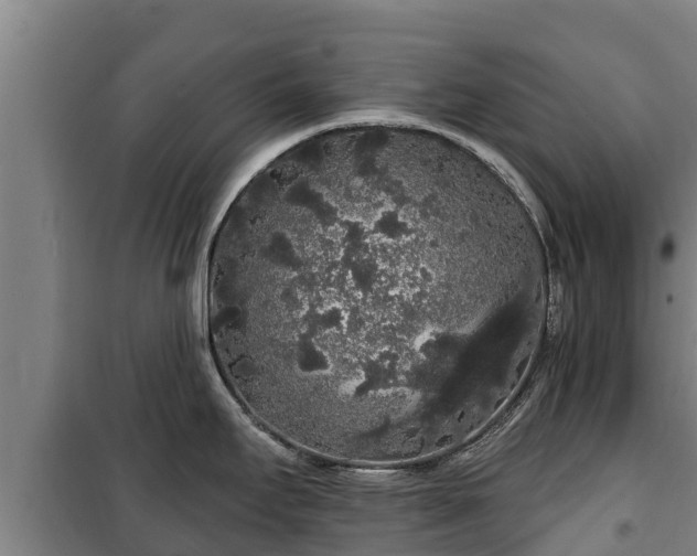 X0000100201295200806061313