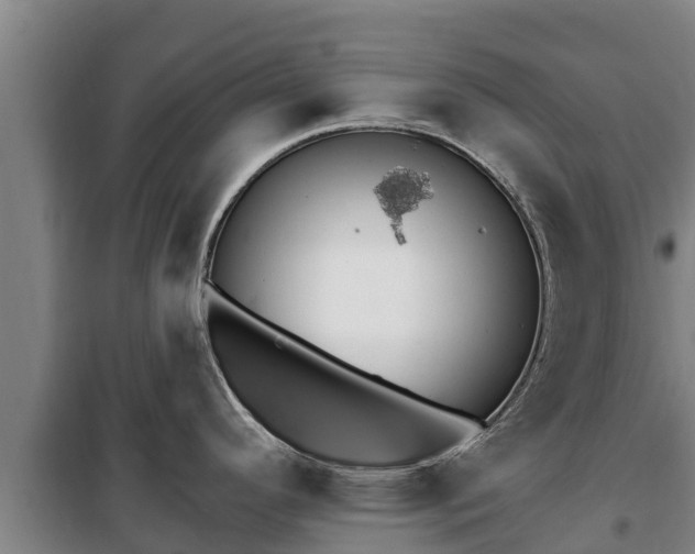 X0000100201296200806061313