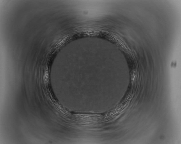 X0000100201298200806061313