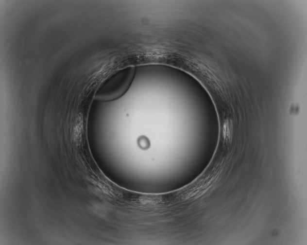 X0000100201299200806061313