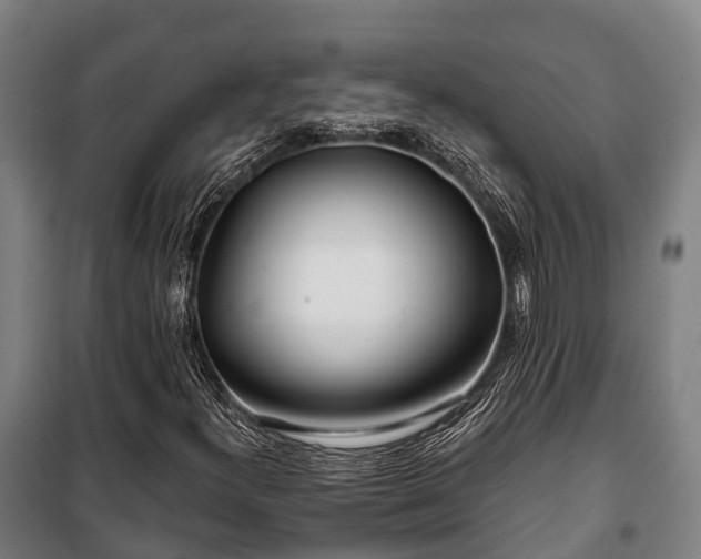 X0000100201300200806061313