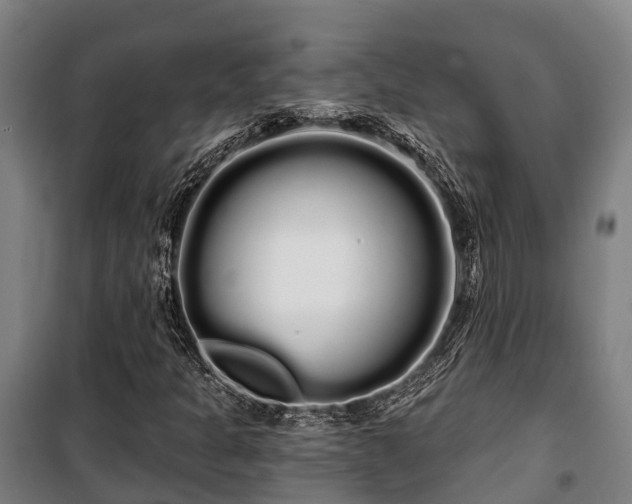 X0000100201301200806061313