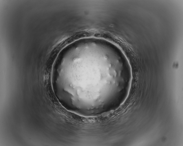 X0000100201302200806061313