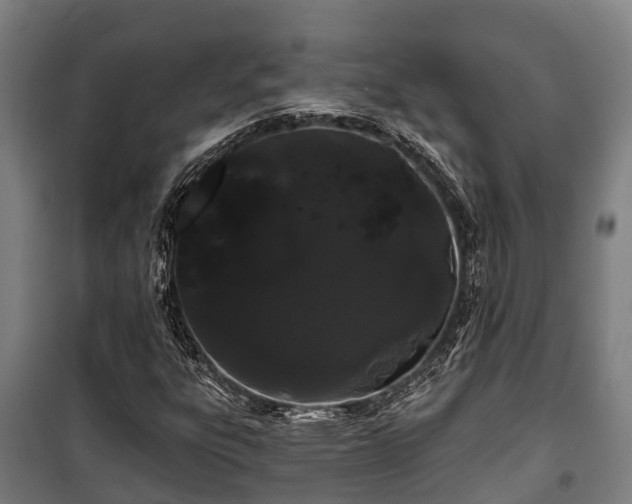 X0000100201303200806061313