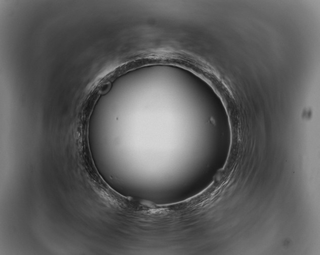 X0000100201304200806061313