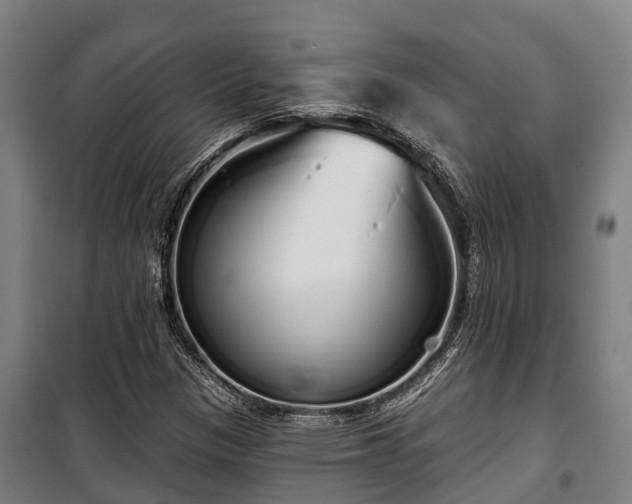 X0000100201305200806061313