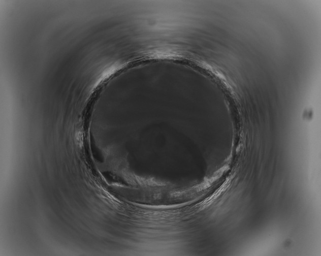 X0000100201306200806061313