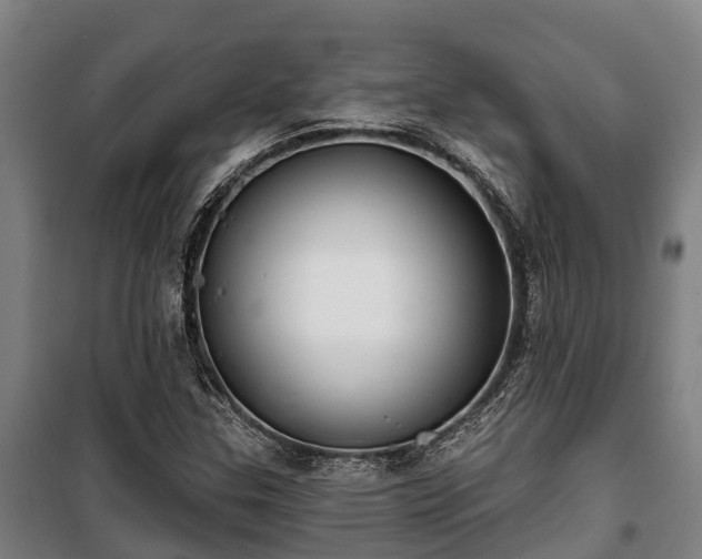 X0000100201307200806061313