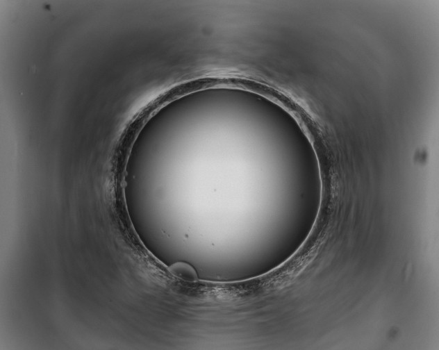 X0000100201311200806061313