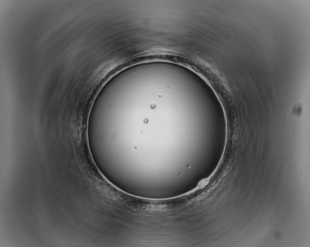 X0000100201313200806061313