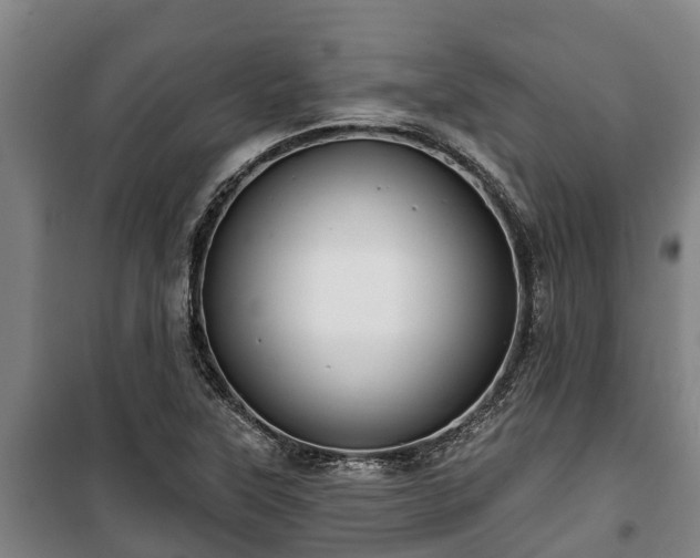 X0000100201315200806061313