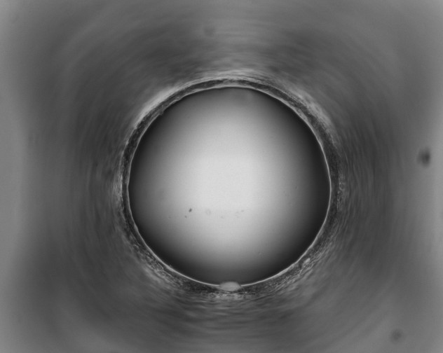 X0000100201316200806061313