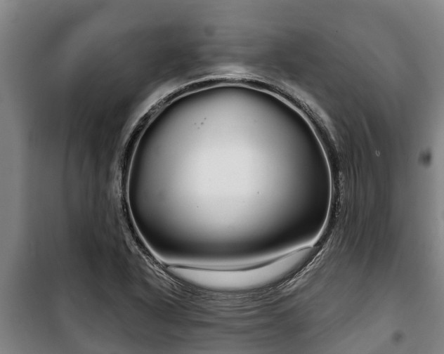 X0000100201318200806061313