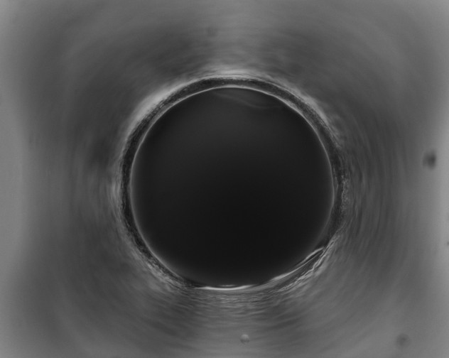 X0000100201319200806061313