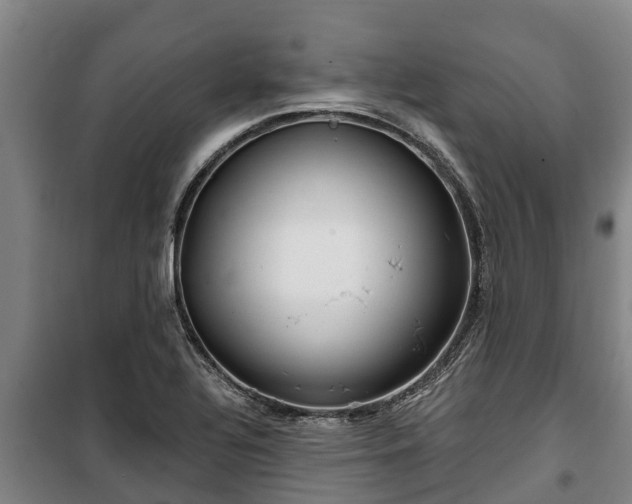 X0000100201320200806061313